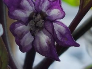 20170418_145823
