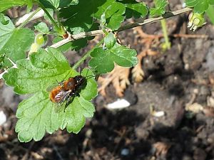 20170420_135243 (1)