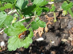 20170420_135243