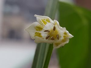 20170421_175304