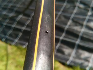 IMG_20170422_144236