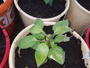 20170427_173247