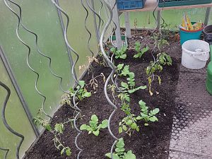 20170427_173352