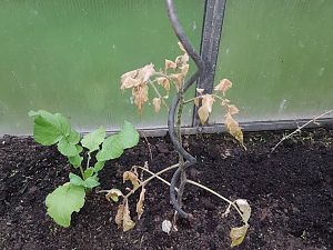 20170427_173358