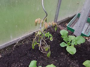 20170427_173401