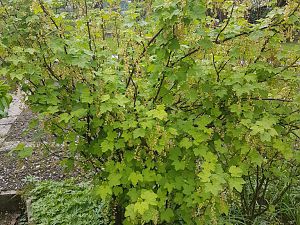 20170422_132149