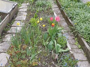 20170422_132204