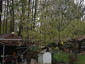 20170422_132226
