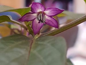 20170430_113256