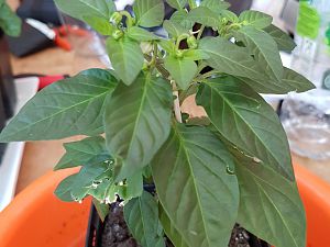 20170430_113512