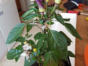 20170430_115717