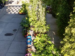IMG_20170513_182421953_HDR