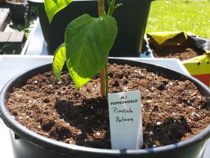 20170515_130028