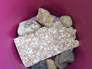 20170515_162427