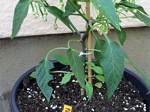 20170517_161426