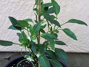 20170517_161856