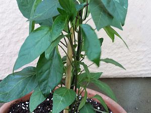 20170517_162001