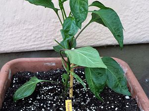 20170517_163254