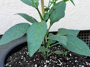 20170517_163329