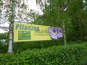 P1290058