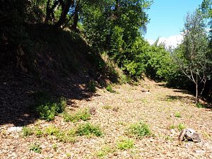 IMG_0097 (Medium)