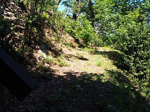 IMG_0103 (Medium)