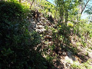 IMG_0104 (Medium)