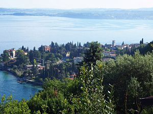 IMG_0113 (Medium)