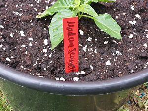 20170524_131216_Richtone(HDR)