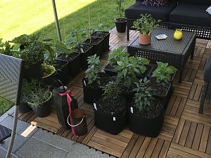 Invasion geht weiter