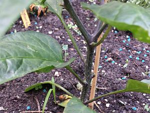 20170528_190938_Richtone(HDR)
