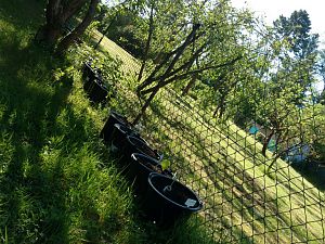 IMG_20170528_091158355