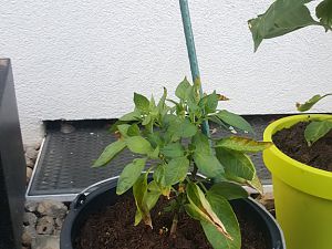 20170605_204916