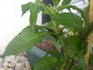 20170605_204255