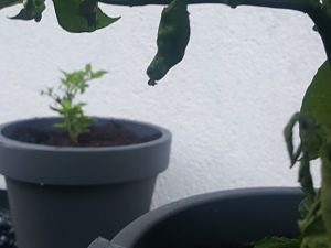 20170605_204158