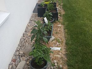 20170605_204124