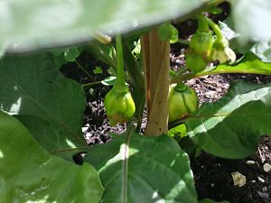 20170611_121304_Richtone(HDR)