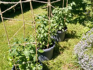 IMG_20170611_135439804_HDR