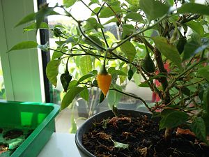 IMG_20170610_165923