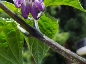 20170615_123744