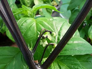20170617_104315