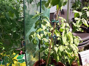 20170617_104420