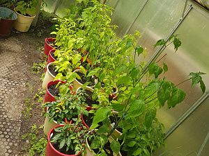 20170620_120802