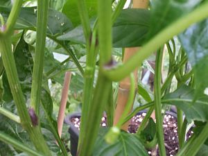 20170623_172950_Richtone(HDR)