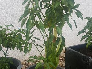 20170628_180110