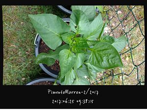 IMG_20170625_093815829_