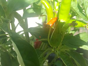 20170630_155714