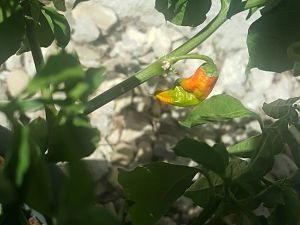 20170630_155638