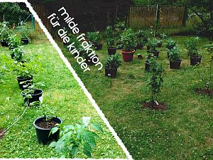 IMG_20170709_164113449_1