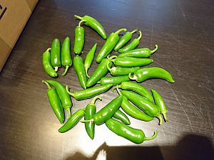 Jalapeno-ernte 1